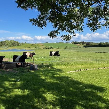 Meldbjerg Villa Stouby Bagian luar foto