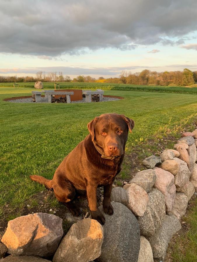 Meldbjerg Villa Stouby Bagian luar foto